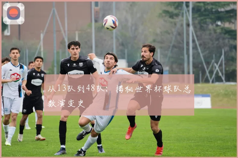 从13队到48队：揭秘世界杯球队总数演变史