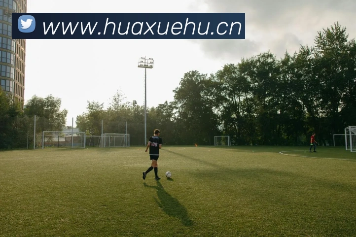 App Interface Preview