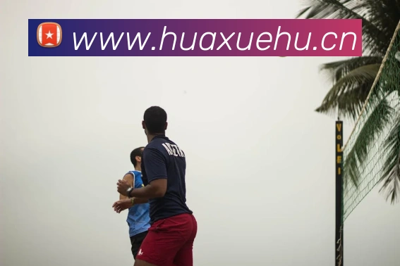 开云手机在线登录官网APP 封面图